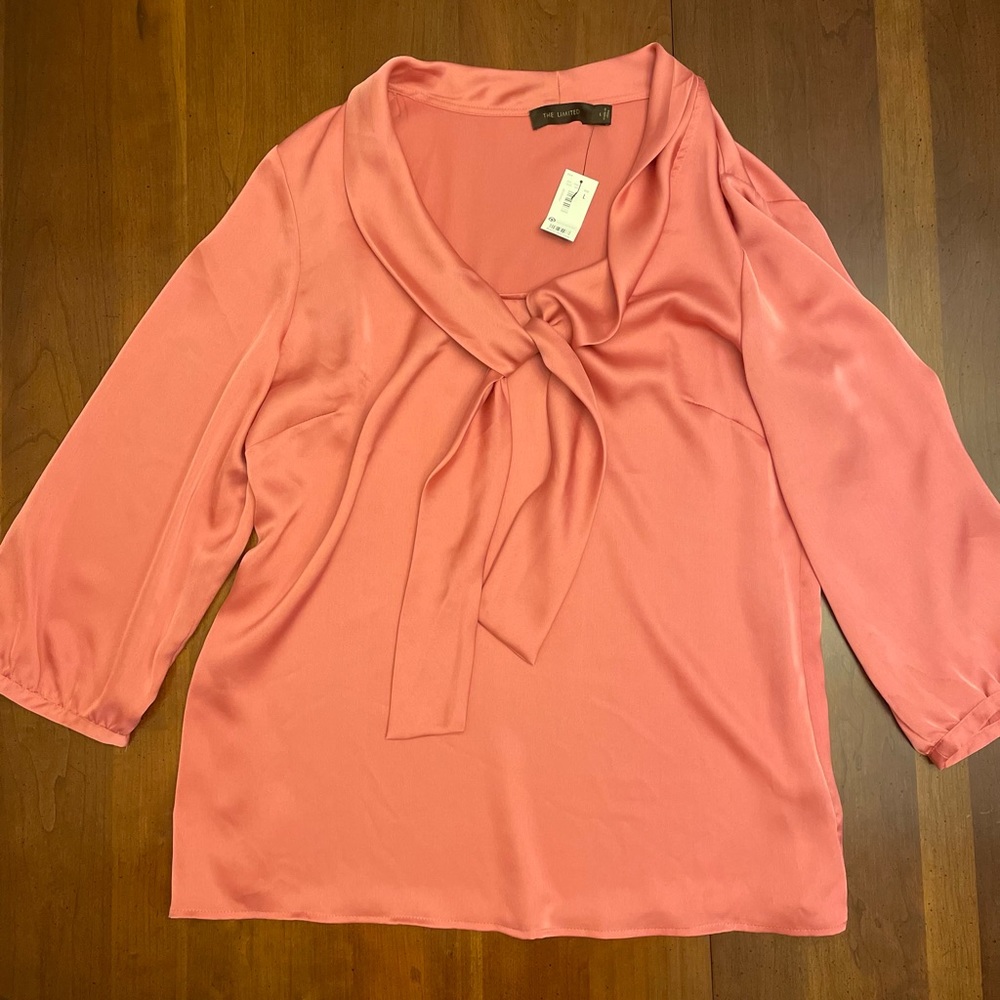 Pink blouse from The Limited